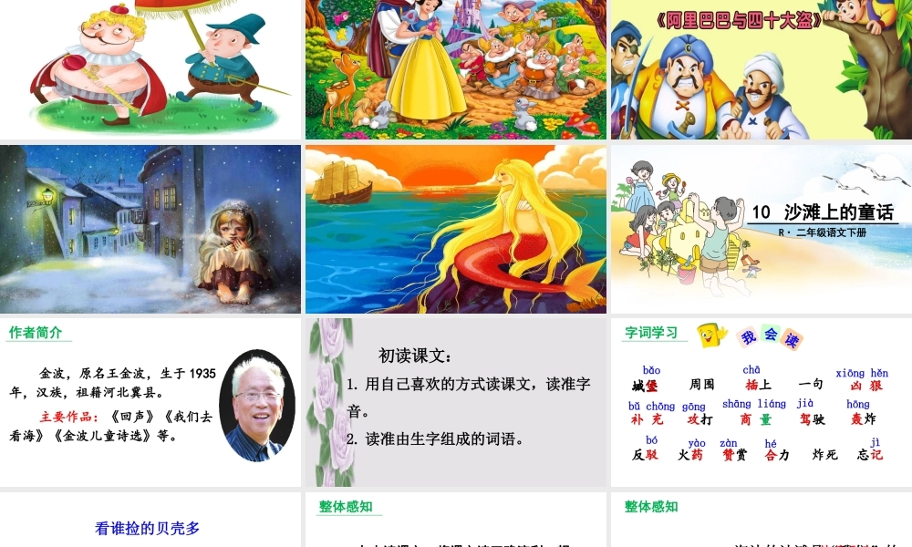 《10 沙滩上的童话 》 第7套（省一等奖）优质课.ppt