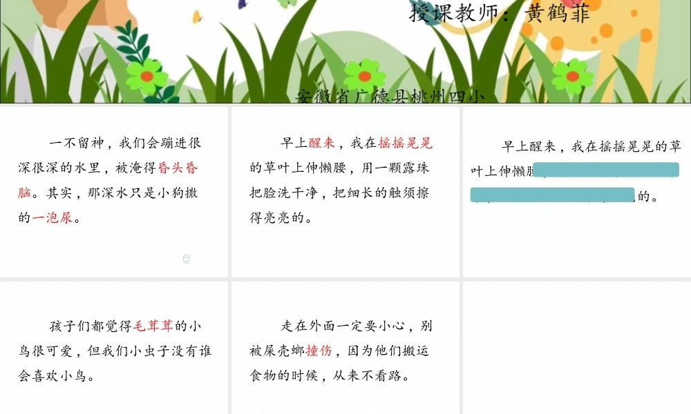 《11 我是一只小虫子 》 第3套（国家一等奖）优质课.pptx