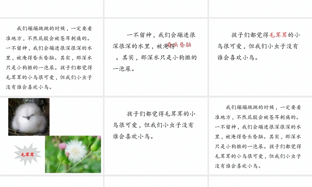 《11 我是一只小虫子 》 第3套（国家一等奖）优质课.pptx