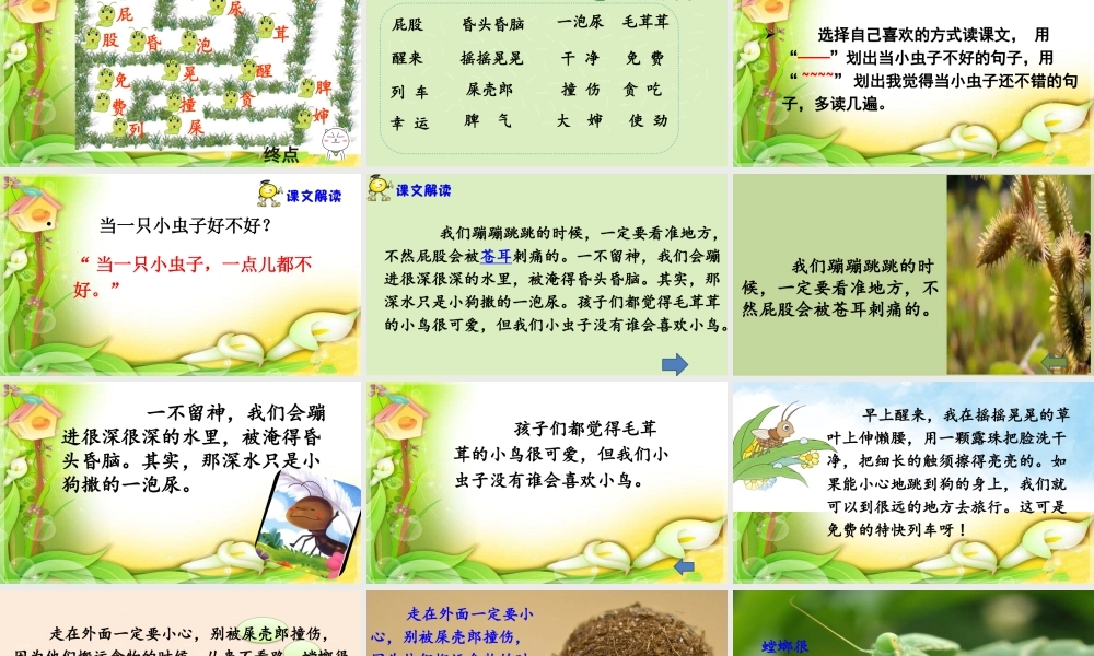 《11 我是一只小虫子 》 第9套（省一等奖）优质课.pptx