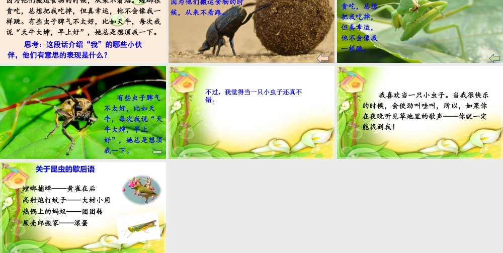 《11 我是一只小虫子 》 第9套（省一等奖）优质课.pptx