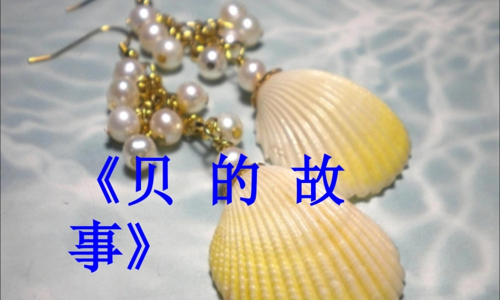 《3 “贝”的故事 》 第5套（省一等奖）优质课.ppt