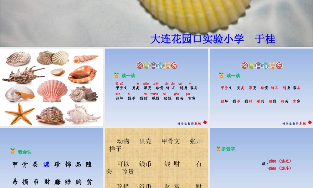 《3 “贝”的故事 》 第5套（省一等奖）优质课.ppt