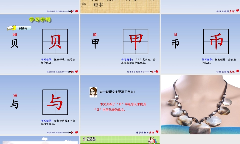 《3 “贝”的故事 》 第5套（省一等奖）优质课.ppt