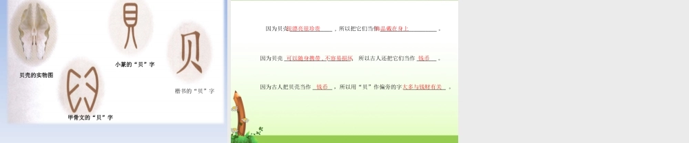 《3 “贝”的故事 》 第5套（省一等奖）优质课.ppt