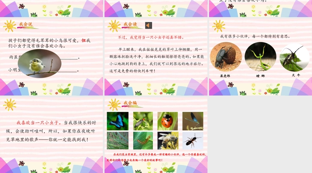 《11 我是一只小虫子4》优质课.pptx