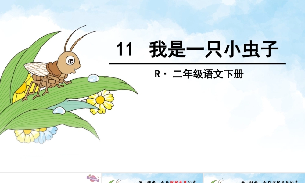 《11 我是一只小虫子 》 第8套（省一等奖）优质课.pptx