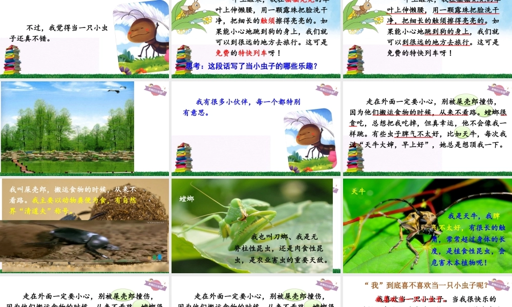 《11 我是一只小虫子 》 第8套（省一等奖）优质课.pptx