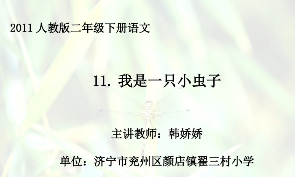 《11 我是一只小虫子3》优质课.ppt