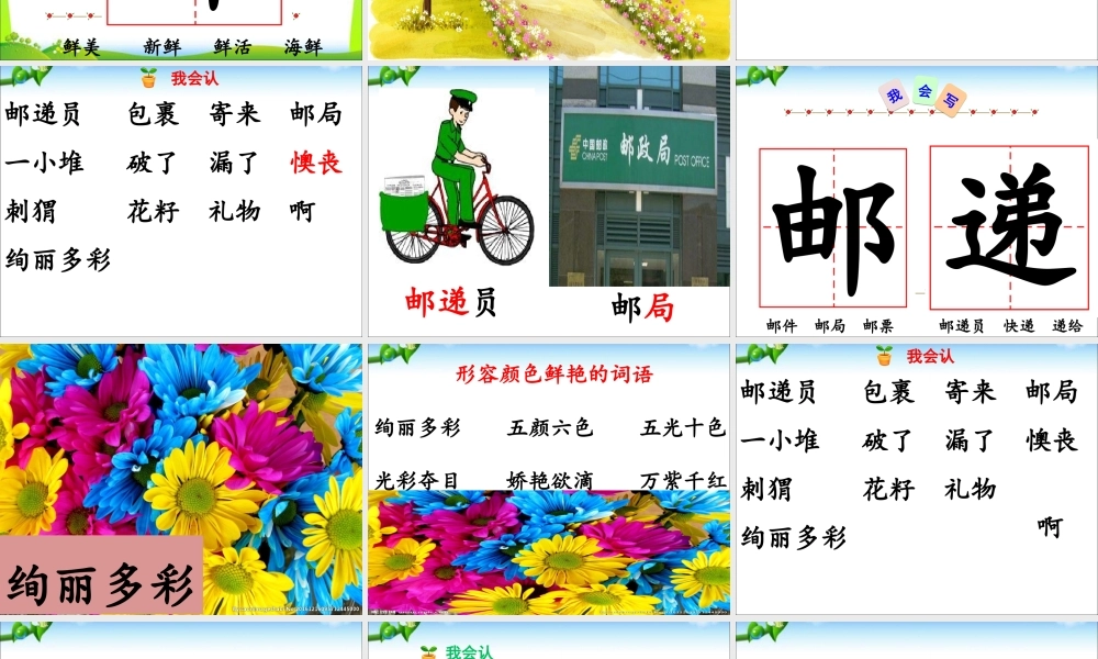 《3 开满鲜花的小路 》 第6套（国家一等奖）优质课.ppt