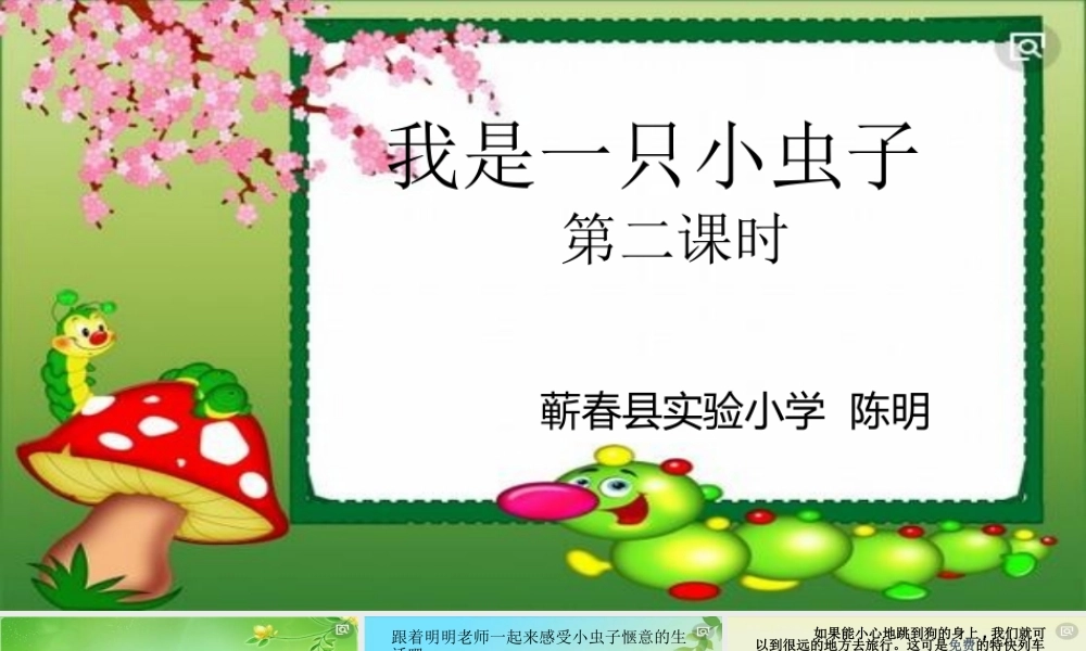 《11 我是一只小虫子 》 第5套（省一等奖）优质课.pptx