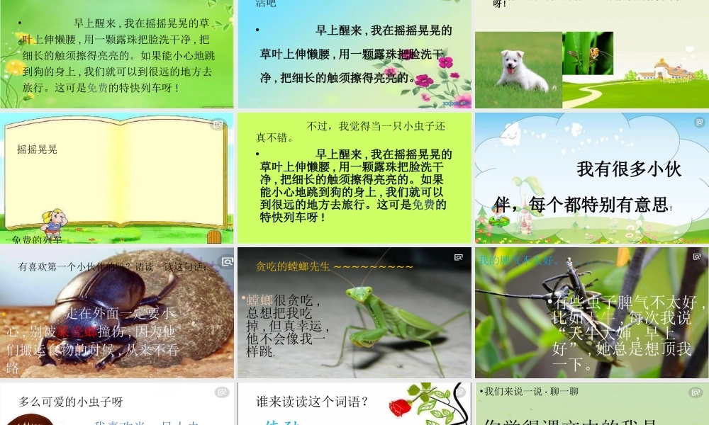 《11 我是一只小虫子 》 第5套（省一等奖）优质课.pptx