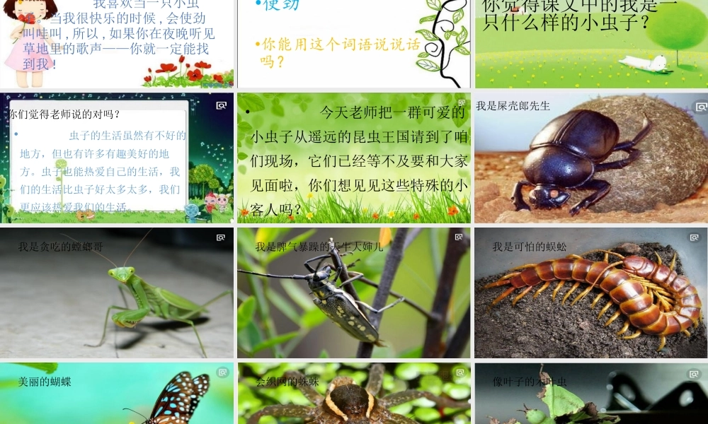 《11 我是一只小虫子 》 第5套（省一等奖）优质课.pptx