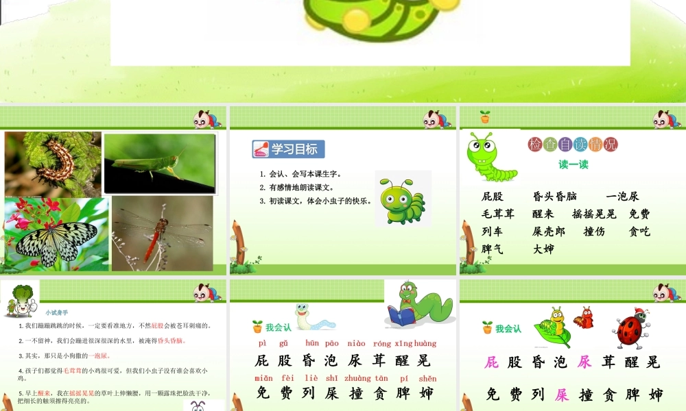 《11 我是一只小虫子 》 第10套（省一等奖）优质课.ppt