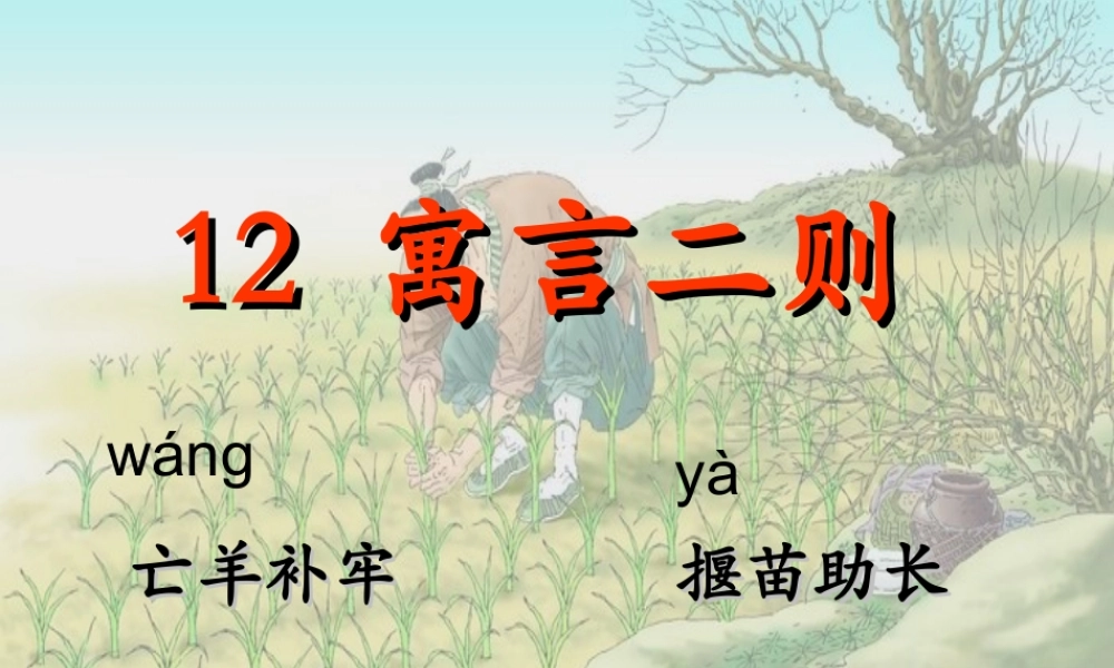 《12揠苗助长 》 第3套（国家一等奖）优质课.ppt