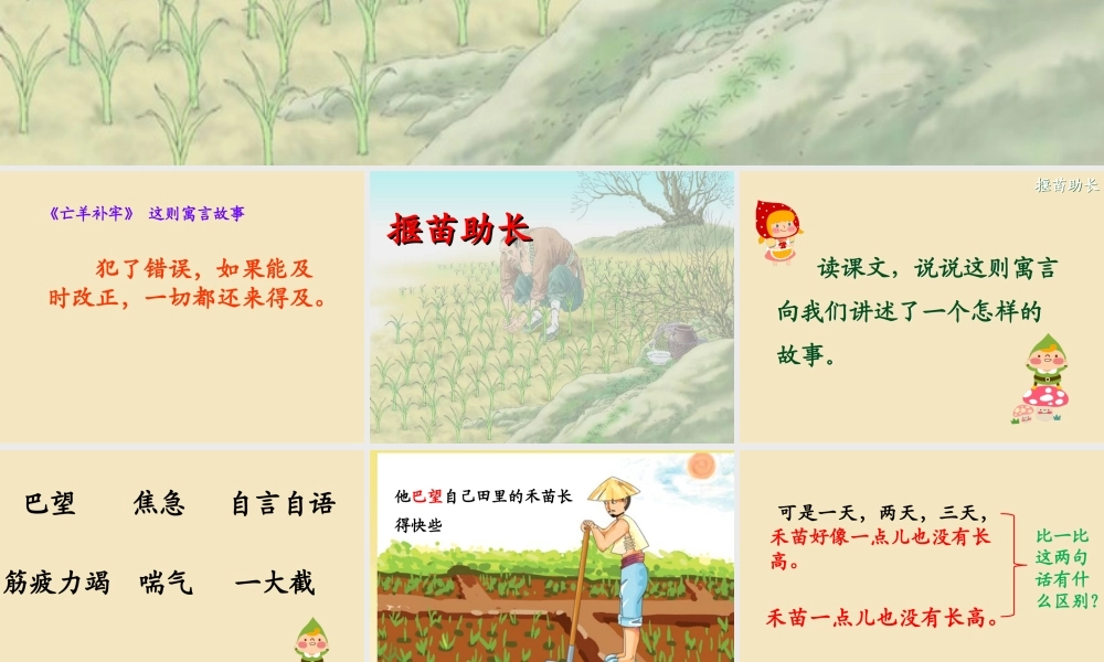 《12揠苗助长 》 第3套（国家一等奖）优质课.ppt