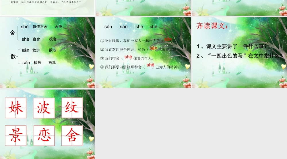 《7 一匹出色的马 》 第8套（国家一等奖）优质课.ppt