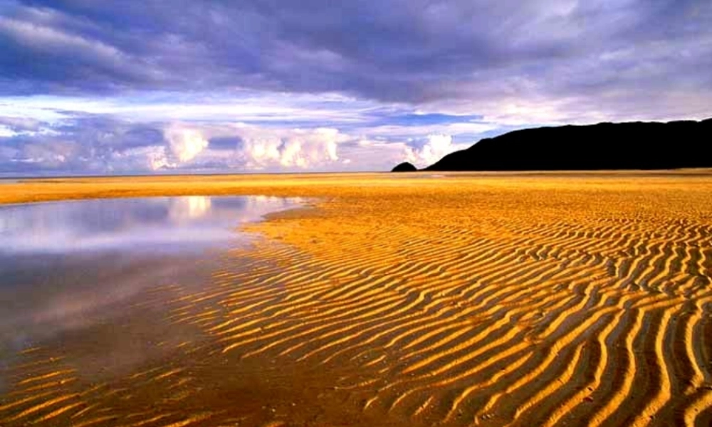 《10 沙滩上的童话 》 第10套（省一等奖）优质课.pptx