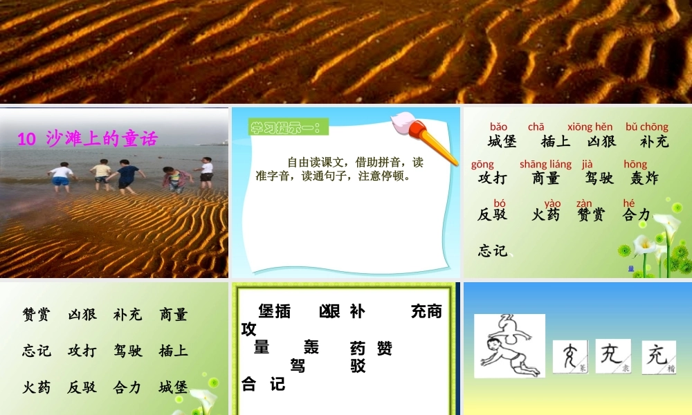 《10 沙滩上的童话 》 第10套（省一等奖）优质课.pptx