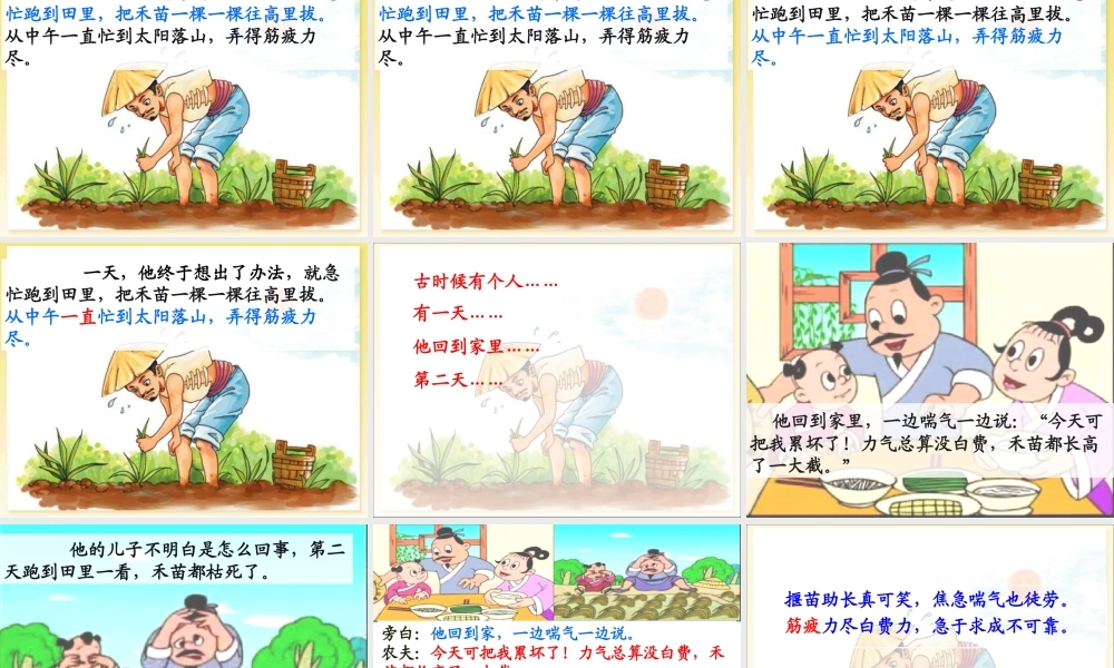 《12揠苗助长 》 第8套（省一等奖）优质课.ppt