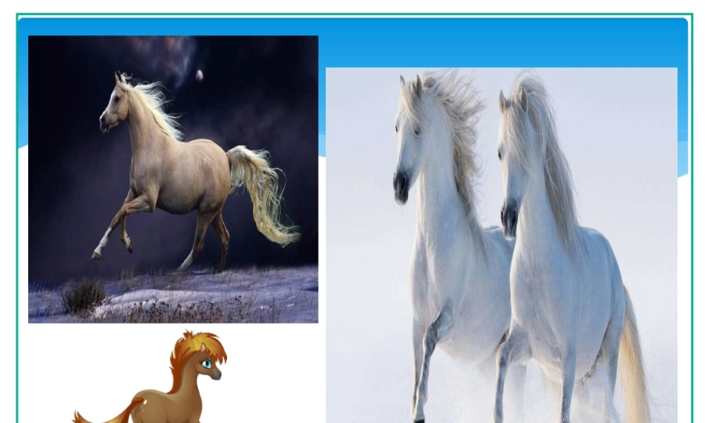 《7 一匹出色的马3》优质课.ppt