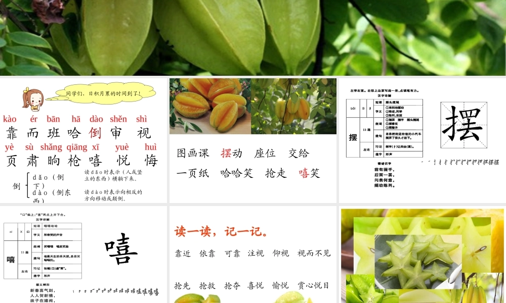 《13 画杨桃 》 第8套（省一等奖）优质课.ppt