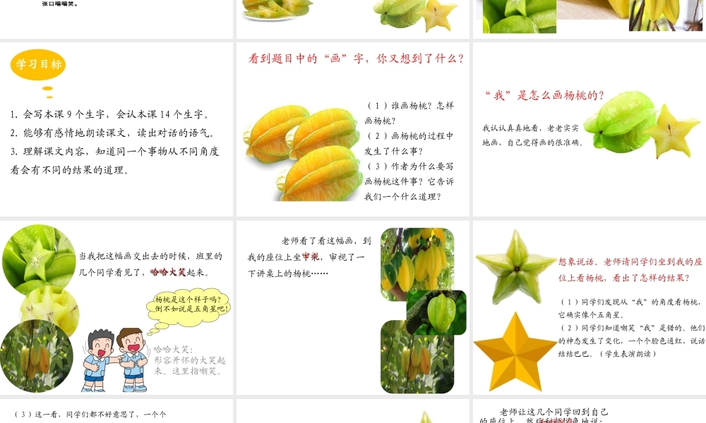 《13 画杨桃 》 第8套（省一等奖）优质课.ppt