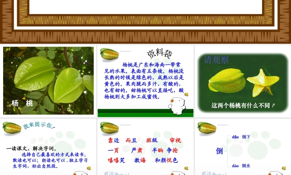 《13 画杨桃 》 第9套（省一等奖）优质课.pptx