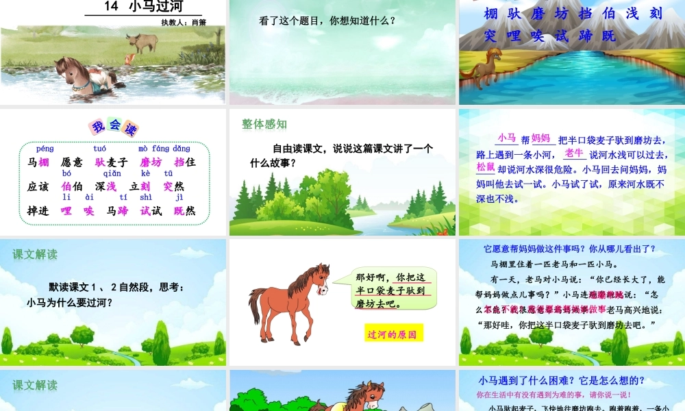 《14 小马过河 》 第3套（国家一等奖）优质课.ppt