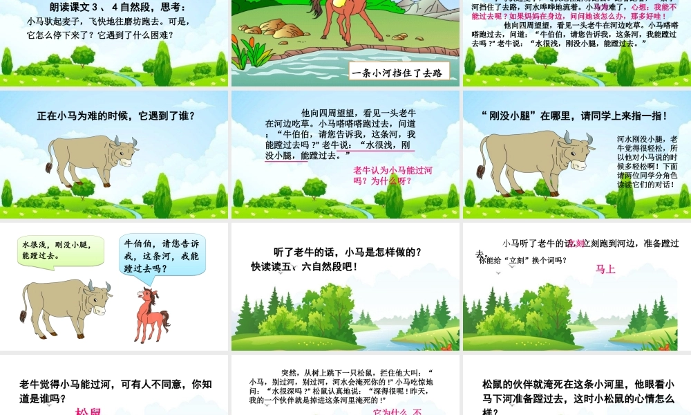 《14 小马过河 》 第3套（国家一等奖）优质课.ppt