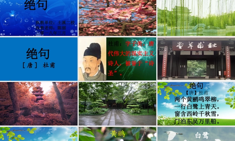 《15 古诗二首：绝句2》优质课课.pptx