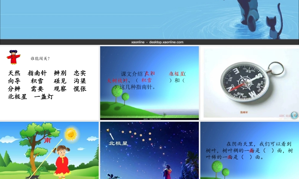 《17 要是你在野外迷了路 》 第1套（国家一等奖）优质课.ppt