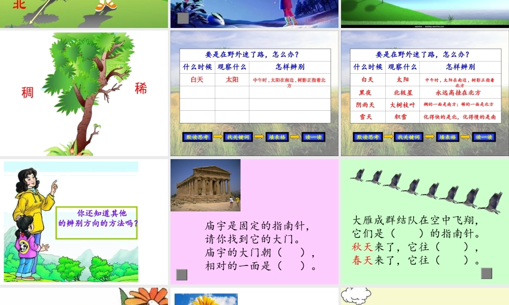 《17 要是你在野外迷了路 》 第1套（国家一等奖）优质课.ppt