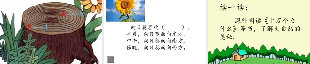 《17 要是你在野外迷了路 》 第1套（国家一等奖）优质课.ppt