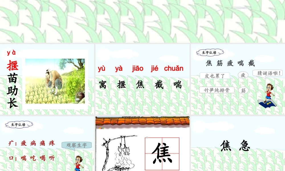 《12揠苗助长 》 第7套（省一等奖）优质课.ppt