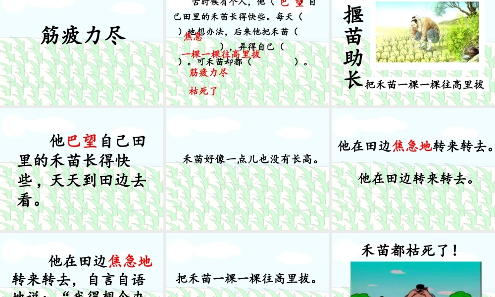 《12揠苗助长 》 第7套（省一等奖）优质课.ppt