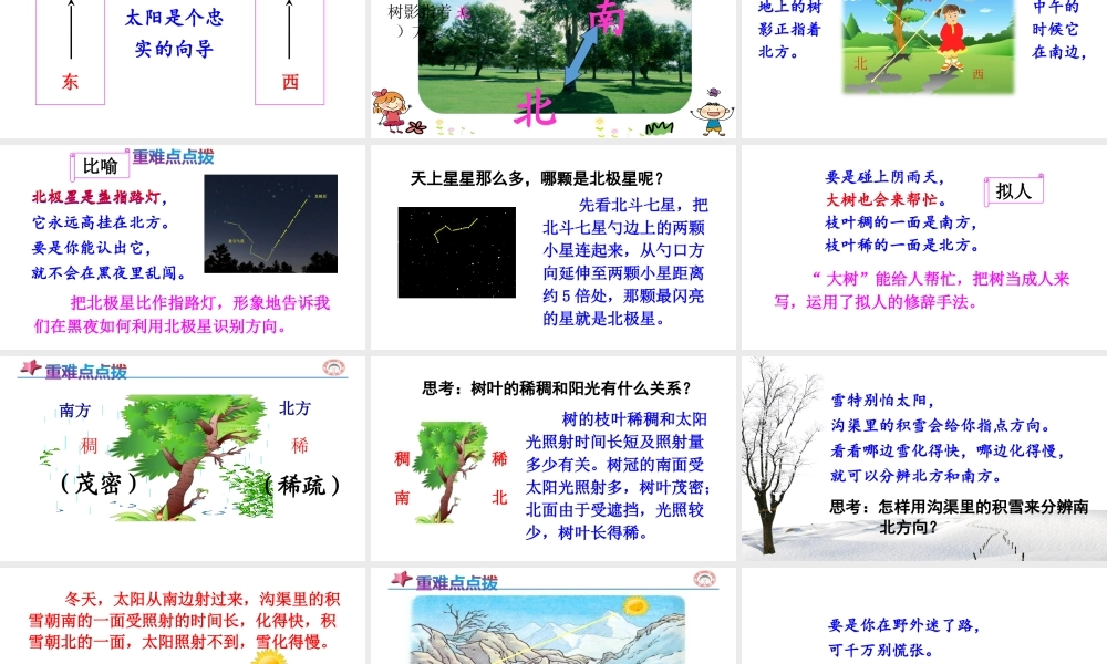 《17 要是你在野外迷了路 》 第6套（省一等奖）优质课.ppt