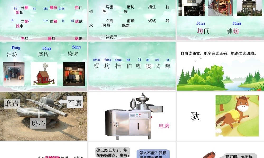 《14 小马过河 》 第6套（省一等奖）优质课.ppt