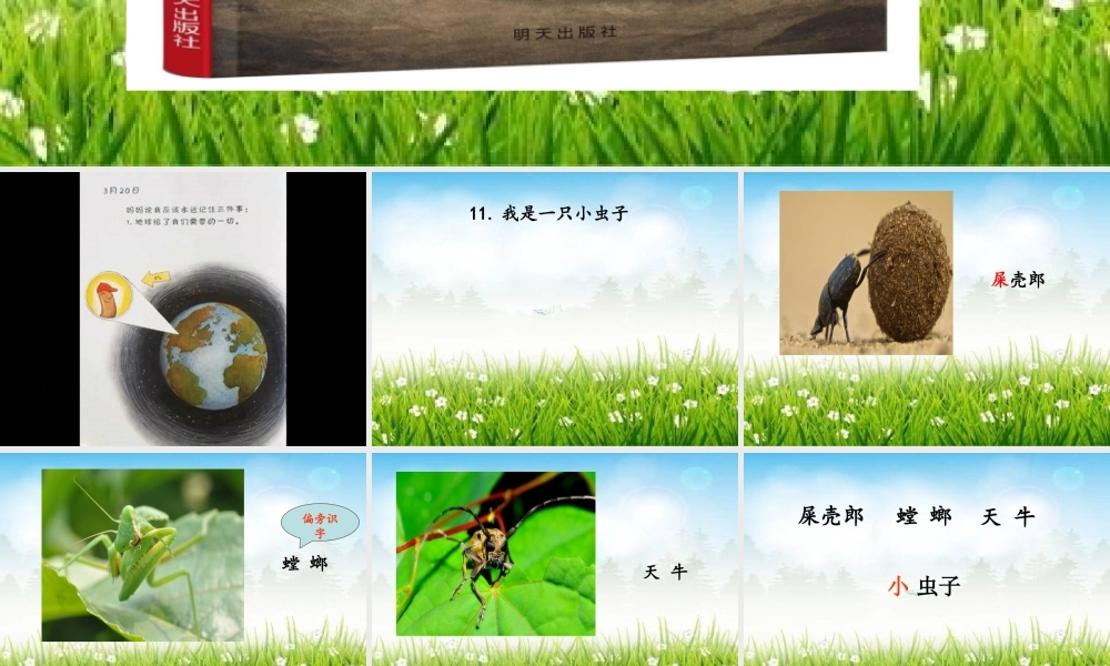 《11 我是一只小虫子6》【刘老师】【省级】优质课.ppt