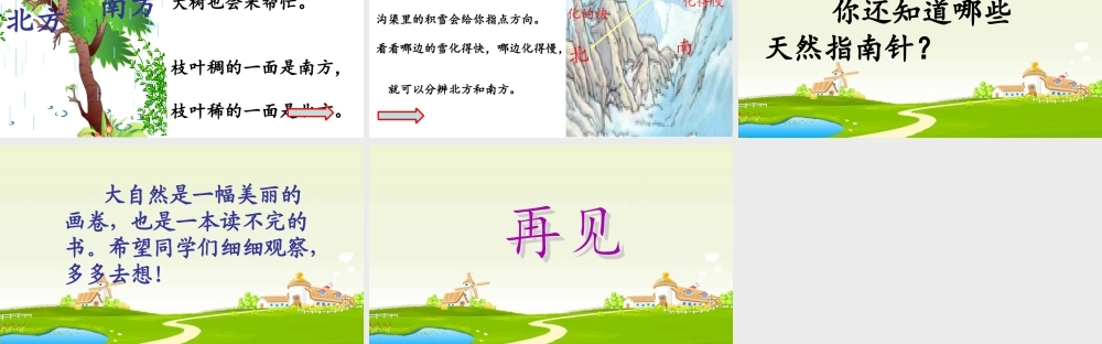 《17 要是你在野外迷了路 》 第2套（国家一等奖）优质课.ppt