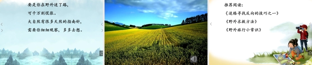 《17 要是你在野外迷了路 》 第7套（省一等奖）优质课.pptx