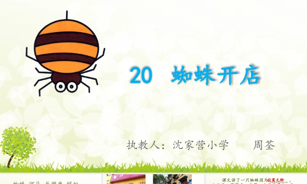 《20 蜘蛛开店 》 第4套（省一等奖）优质课.pptx
