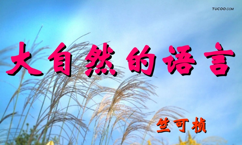 《16 大自然的语言》课件（共57张PPT）.ppt