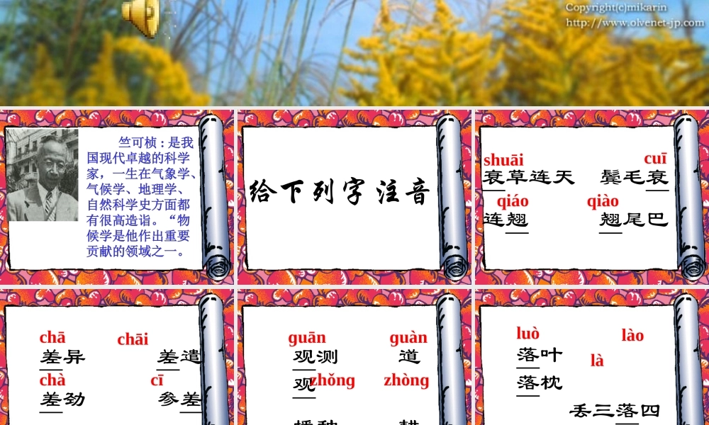 《16 大自然的语言》课件（共57张PPT）.ppt