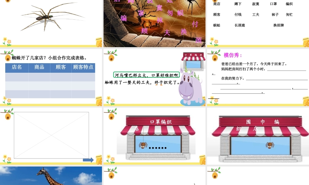 《20 蜘蛛开店 》 第9套（省一等奖）优质课.ppt