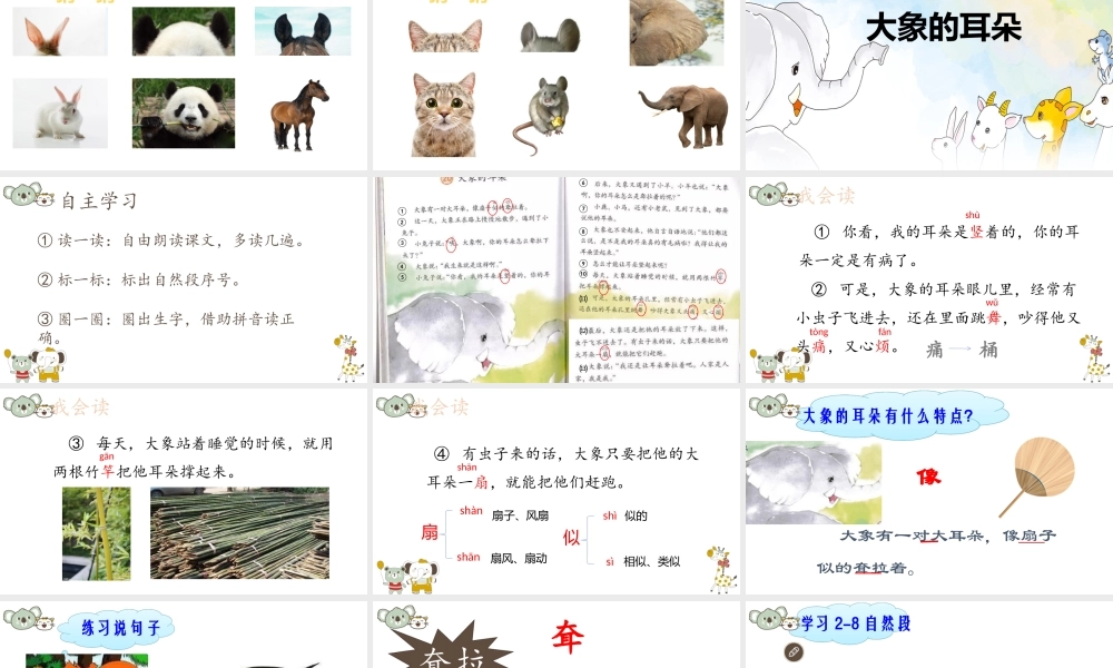 《19 大象的耳朵 》 第4套（省一等奖）优质课.pptx