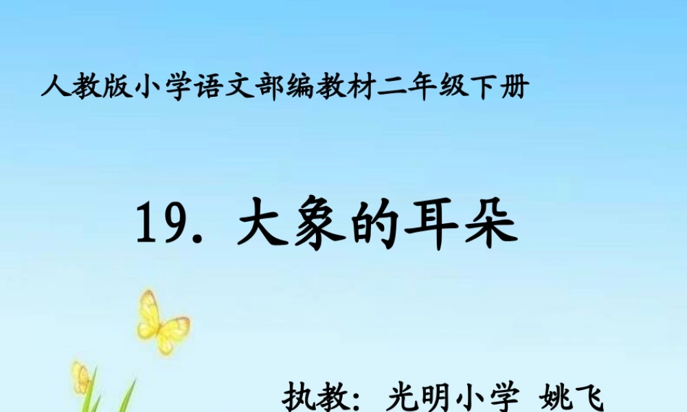 《19 大象的耳朵 》 第5套（省一等奖）优质课.ppt
