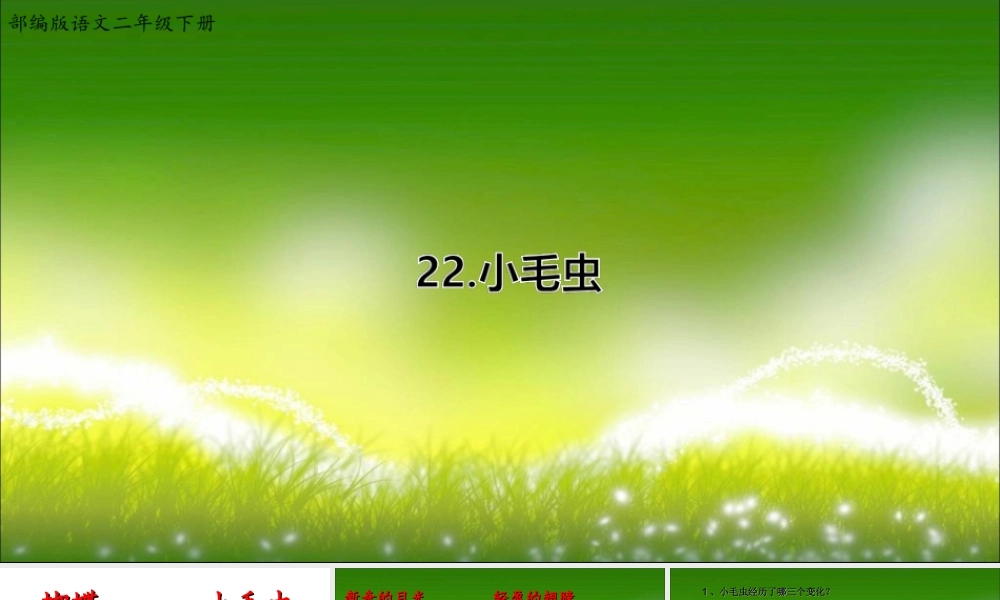《22 小毛虫 》 第3套（国家一等奖）优质课.ppt