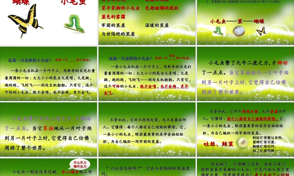 《22 小毛虫 》 第3套（国家一等奖）优质课.ppt