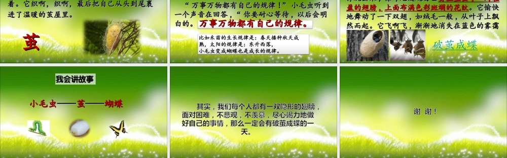 《22 小毛虫 》 第3套（国家一等奖）优质课.ppt